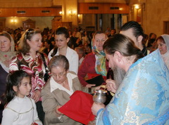    -   11.05.2009  ., 