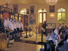        , ., , 18.11.2007
